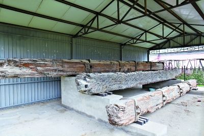 通州 景觀復(fù)建 大運河 運河文化