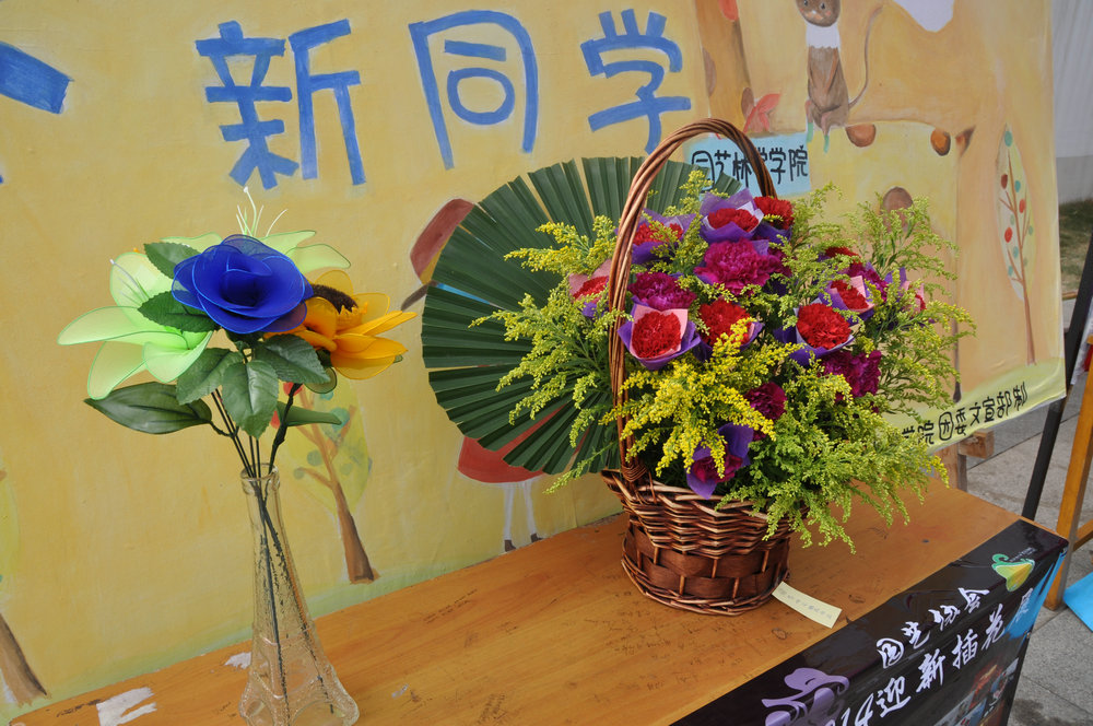 制作精美的插畫作品