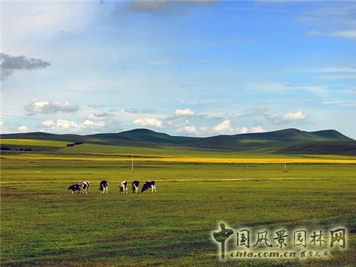 呼倫貝爾大草原