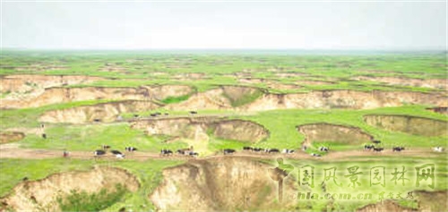 草原生態(tài)惡化