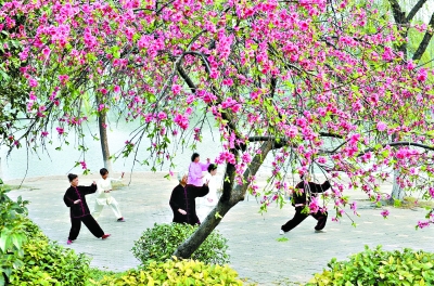 西北湖畔花繁葉茂，成為周邊居民休閑鍛煉的好去處