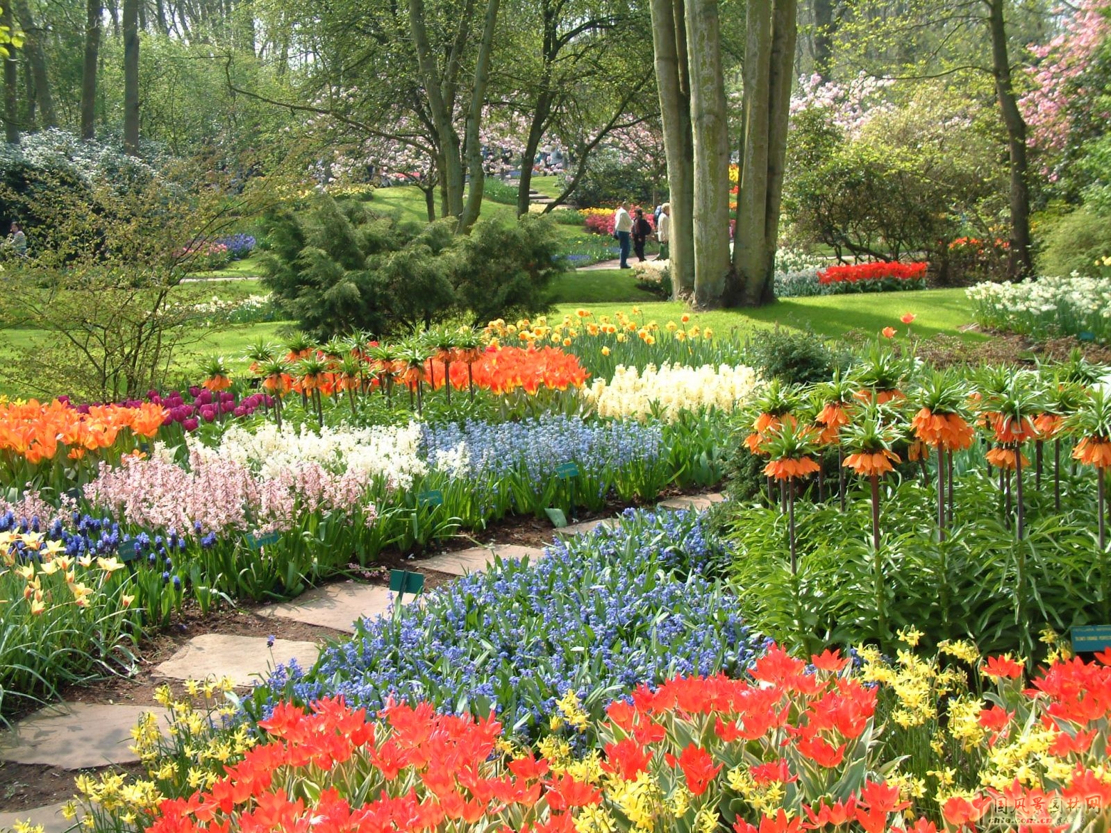 明快色彩是關(guān)鍵