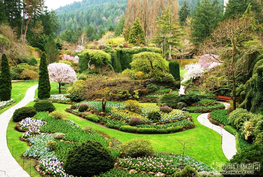 生動(dòng)景觀讓花園更立體