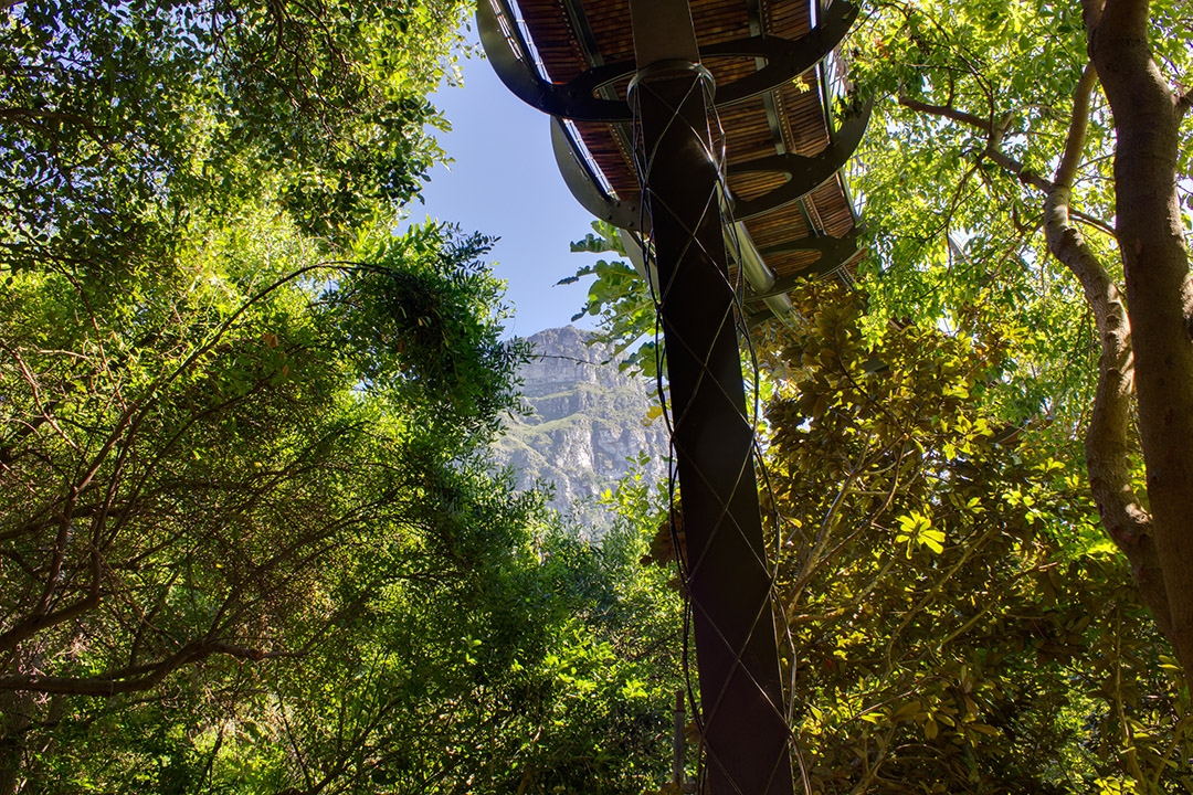 　　“樹冠走廊”引領人們來到樹冠高度，欣賞平時幾乎無法領略到的獨特的生態景象。在這里，人們可以從高處體驗森林、可以看到地面視野無法捕捉到的鳥類和其他動物、可以欣賞樹木隨風搖曳的動態景象、還可以看到樹冠相交的情景。橋梁沖破樹木，飛躍樹梢，帶來樹頂觀景的非凡感受，展現了開普敦城市和周圍雄偉山脈的360度全景景觀。