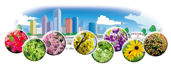 沈陽15條“特色花街” 明年繁花似錦 