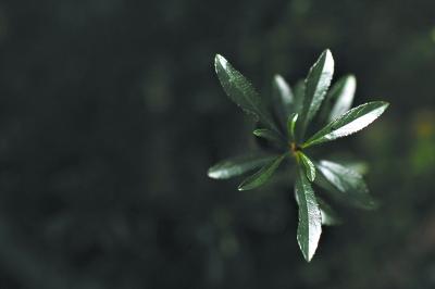 遷漢十年呈退化跡象