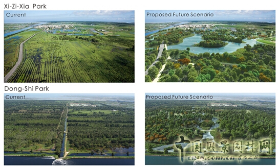 鰲鼓濕地森林公園