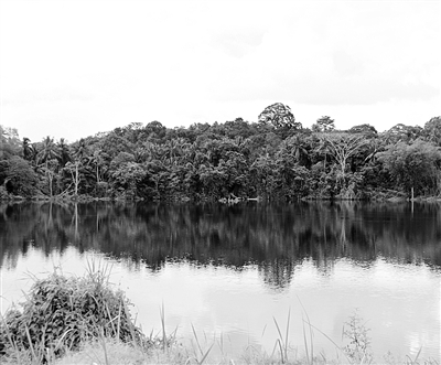 生態建設 生態城市 環境保護 