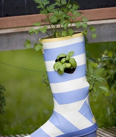 別樣花器別樣情趣 盆栽綠植煥發出新生機