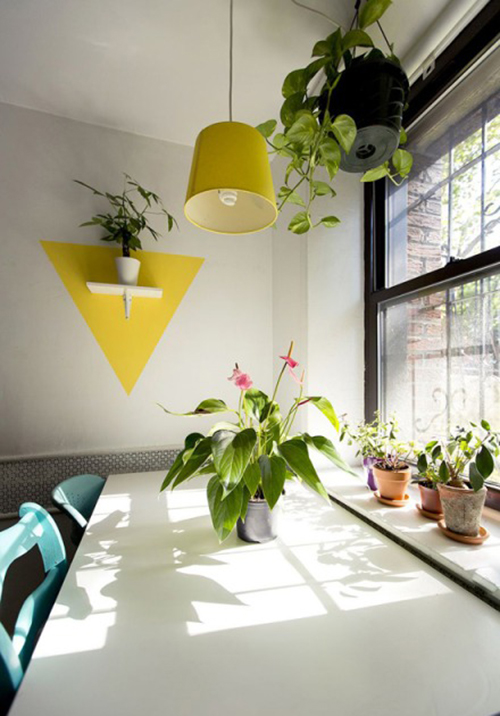 今年冬天的室內裝飾 必須給房間加點觀葉綠色植物!