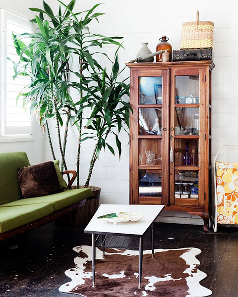 今年冬天的室內(nèi)裝飾 必須給房間加點觀葉綠色植物!