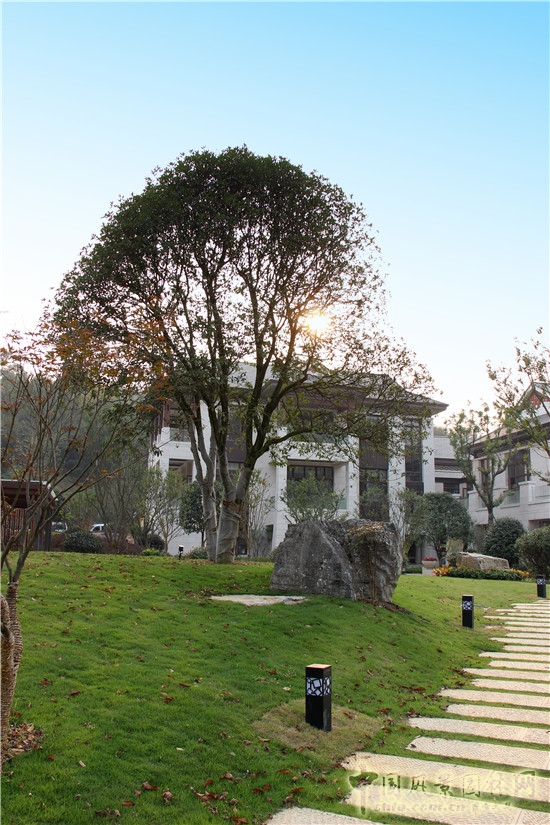 臘八寺配套設施景觀工程