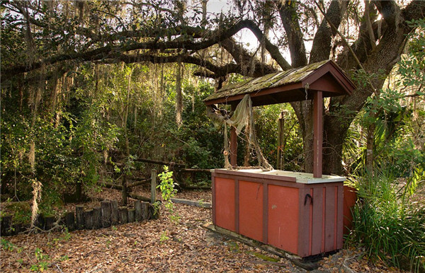 迪士尼水上公園廢棄15年變“植物園”
