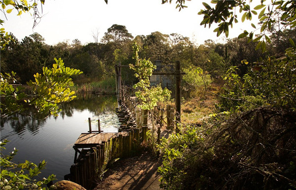 迪士尼水上公園廢棄15年變“植物園”