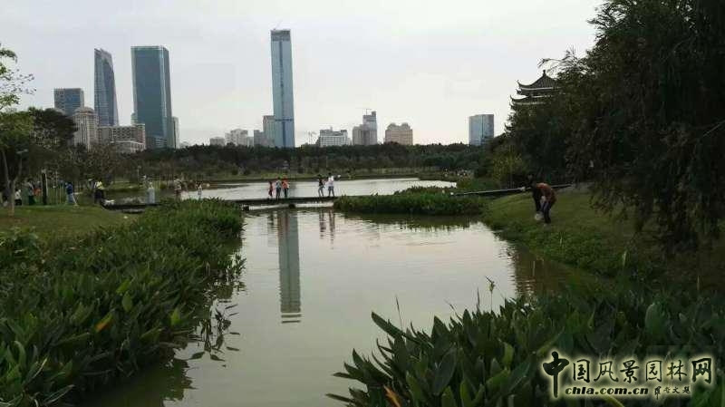 我們的驕傲,百公里讓我們看到深圳美麗的另立面