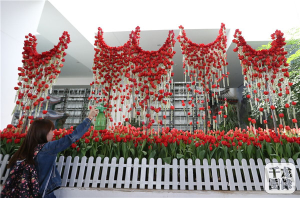 國泰郁金香首次亮相中國園林博物館