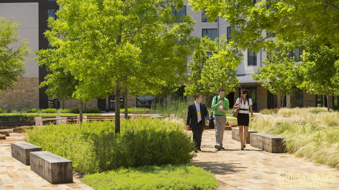 SWA經典案例：德勤大學景觀設計