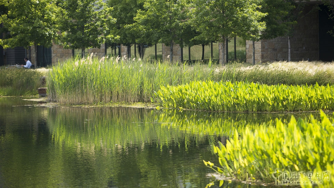 SWA經典案例：德勤大學景觀設計