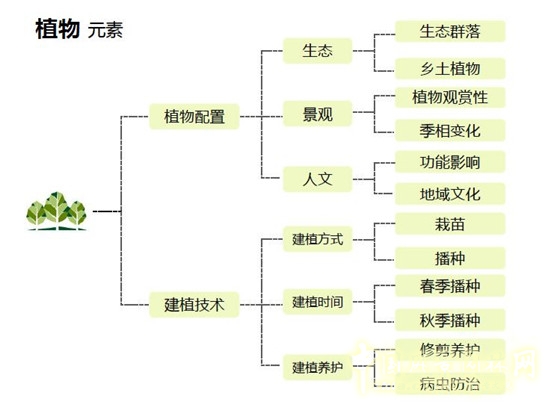郭建梅:節水園林——蒙草遇上節水的時代