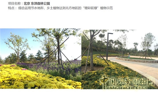 郭建梅:節水園林——蒙草遇上節水的時代