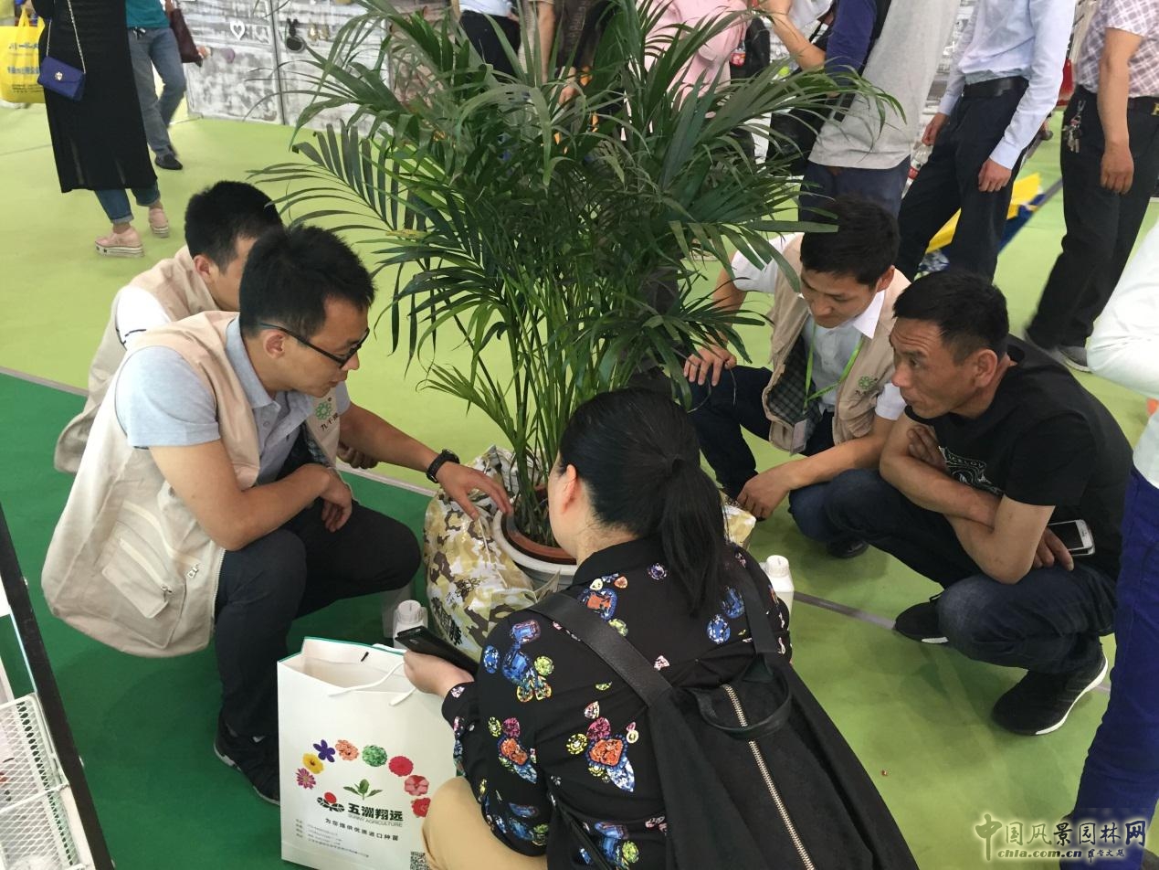 諾普信參加第18屆中國國際花卉園藝展覽會完美收官