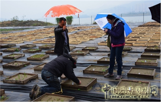 James Hitehmough:發展可持續城市的植物群落