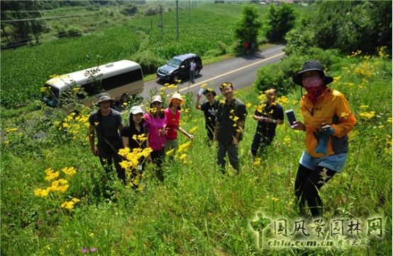 James Hitehmough:發展可持續城市的植物群落