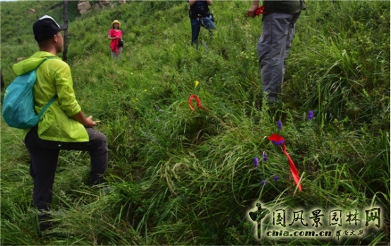 James Hitehmough：發展可持續城市的植物群落