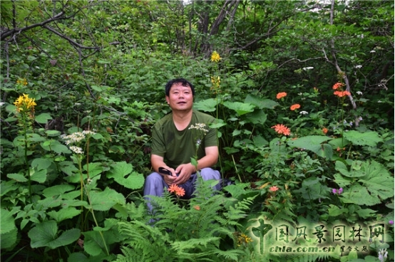 James Hitehmough:發展可持續城市的植物群落