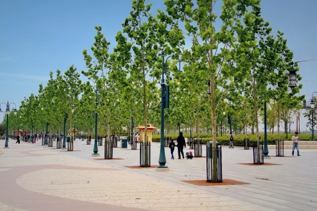 上海迪士尼是如何建造的？10大秘訣值得工程人學(xué)習(xí)！