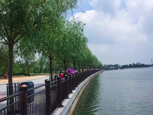 上海迪士尼是如何建造的?10大秘訣值得工程人學習!