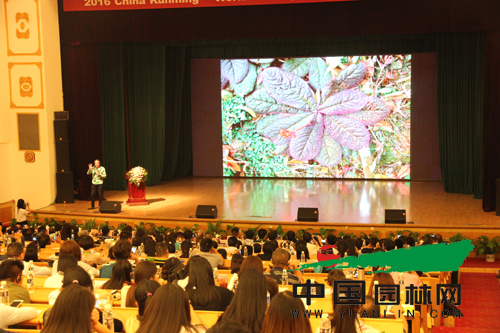 帕特里克·伯蘭克:垂直花園在全世界的新體會(huì)