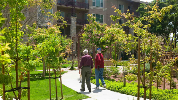 加州帕洛阿爾托“Vi生活”養老社區