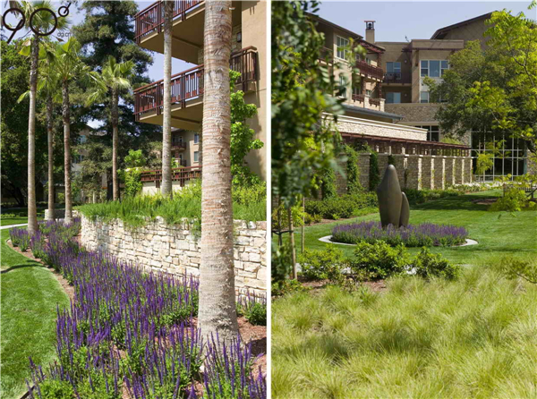 加州帕洛阿爾托“Vi生活”養老社區