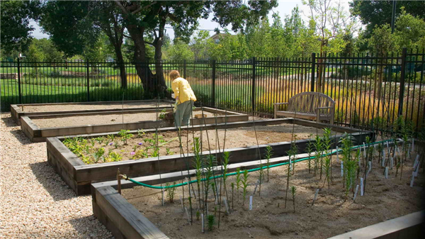 加州帕洛阿爾托“Vi生活”養老社區