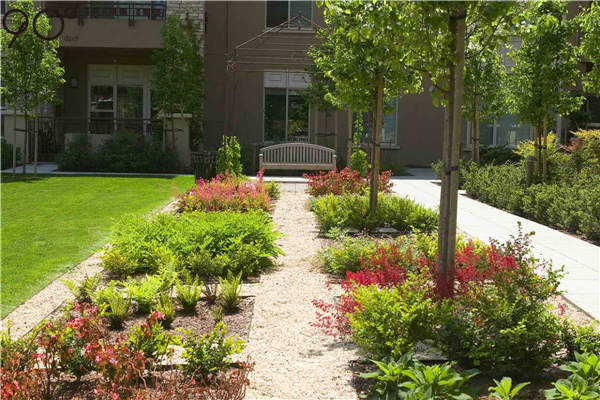 加州帕洛阿爾托“Vi生活”養老社區