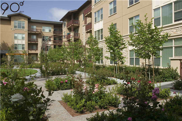 加州帕洛阿爾托“Vi生活”養(yǎng)老社區(qū)