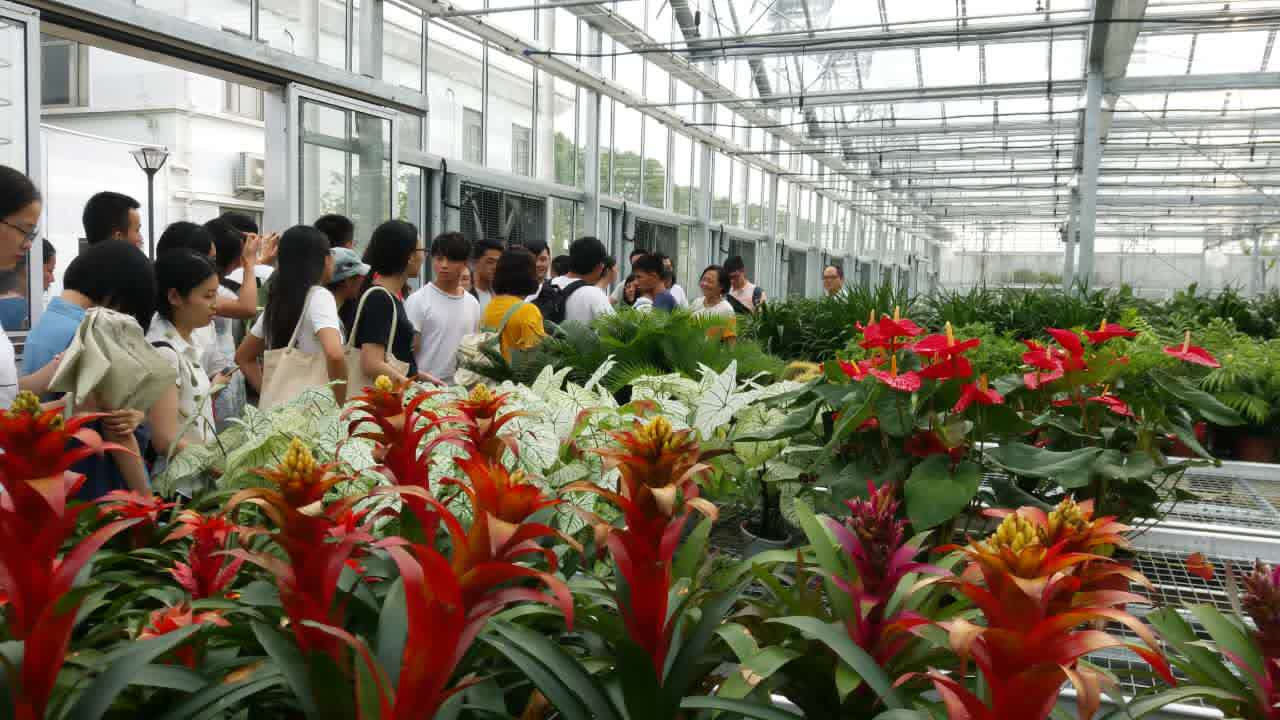 系列報道3：南林風(fēng)景園林學(xué)院走進企業(yè)和學(xué)校