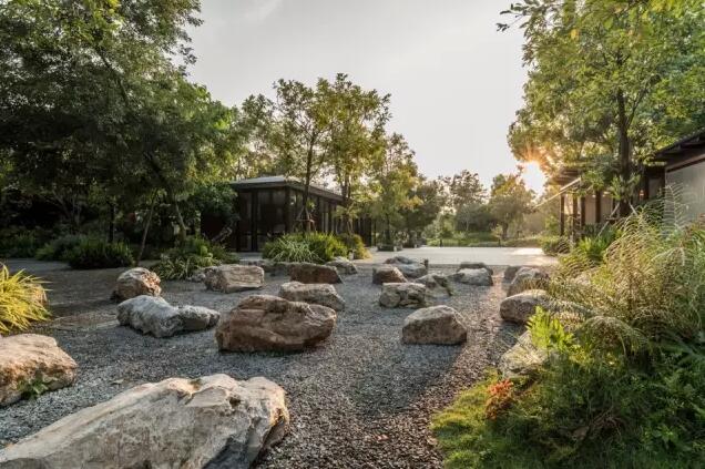 泰國公園：場地修復(fù)+產(chǎn)業(yè)整合的綠色夢想