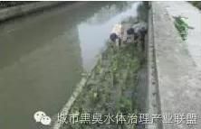有圖有真相 水環(huán)境生態(tài)修復技術(shù)方案
