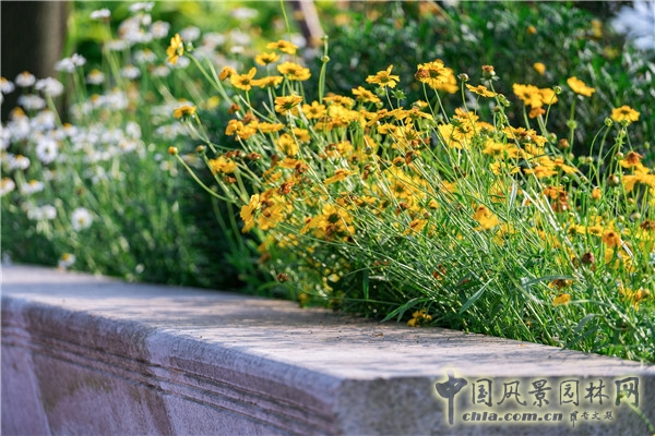 藍調國際:重慶金海灣濱江園 山水之城的濱水密境