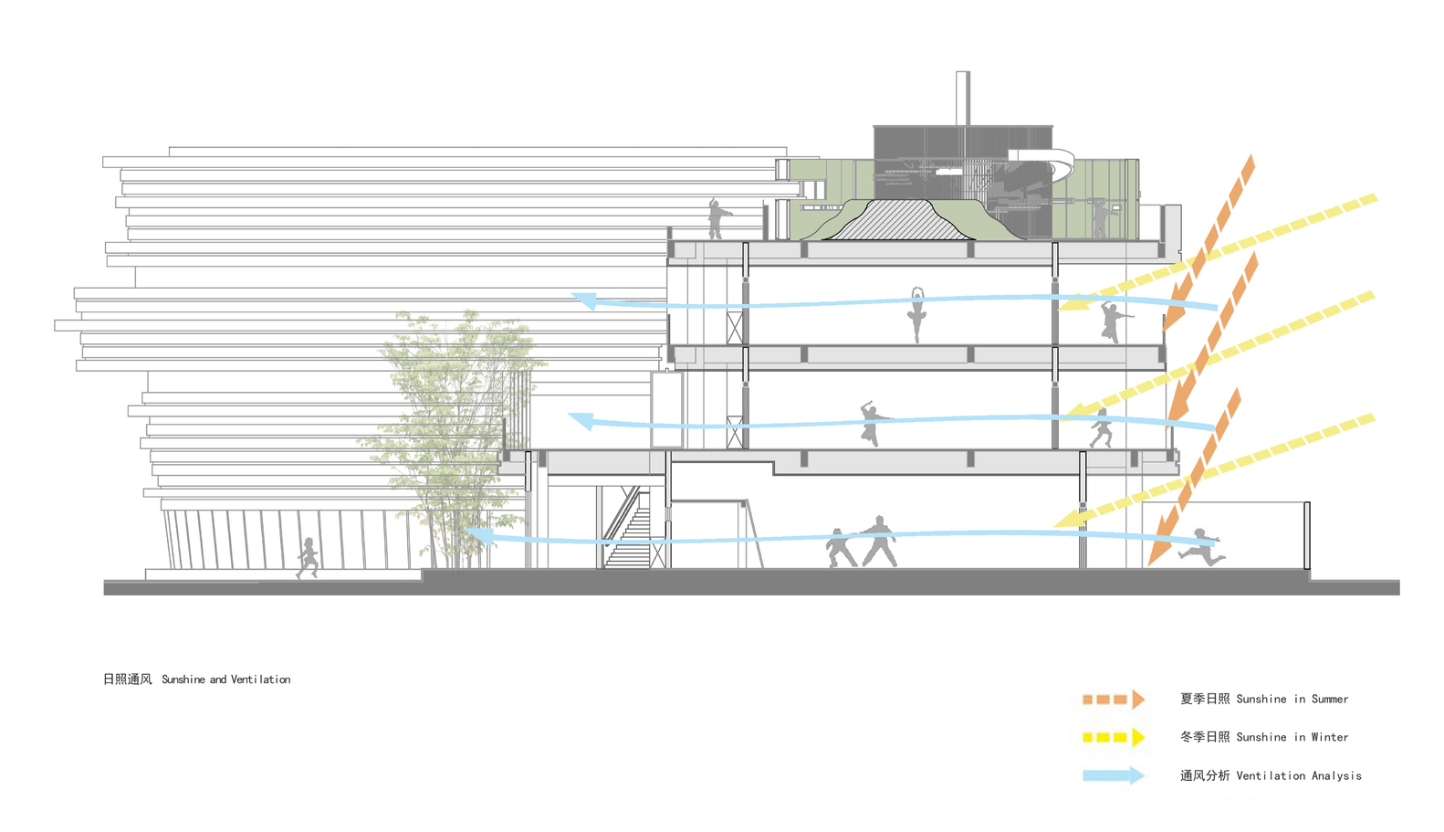 案例賞析:看得見森林的幼兒園