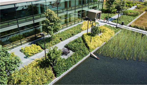 美西考察（西雅圖站）：與大師理查德·海格一同游園