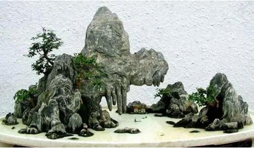 盆景七大類，你都知道嗎？