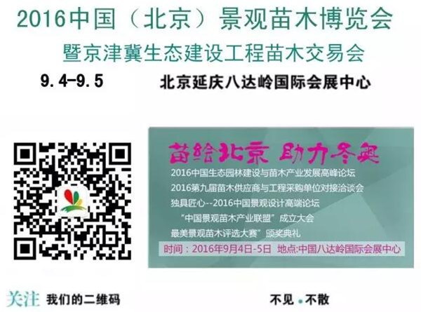 延慶著力保障2016北京苗木博覽會順利舉行