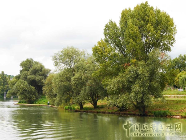 9月9日頭條:里昂索恩河Rochetaillee改造項目賞析