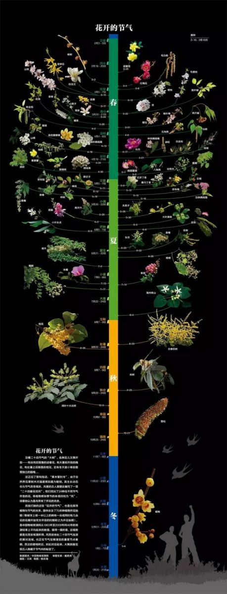花開的節(jié)氣