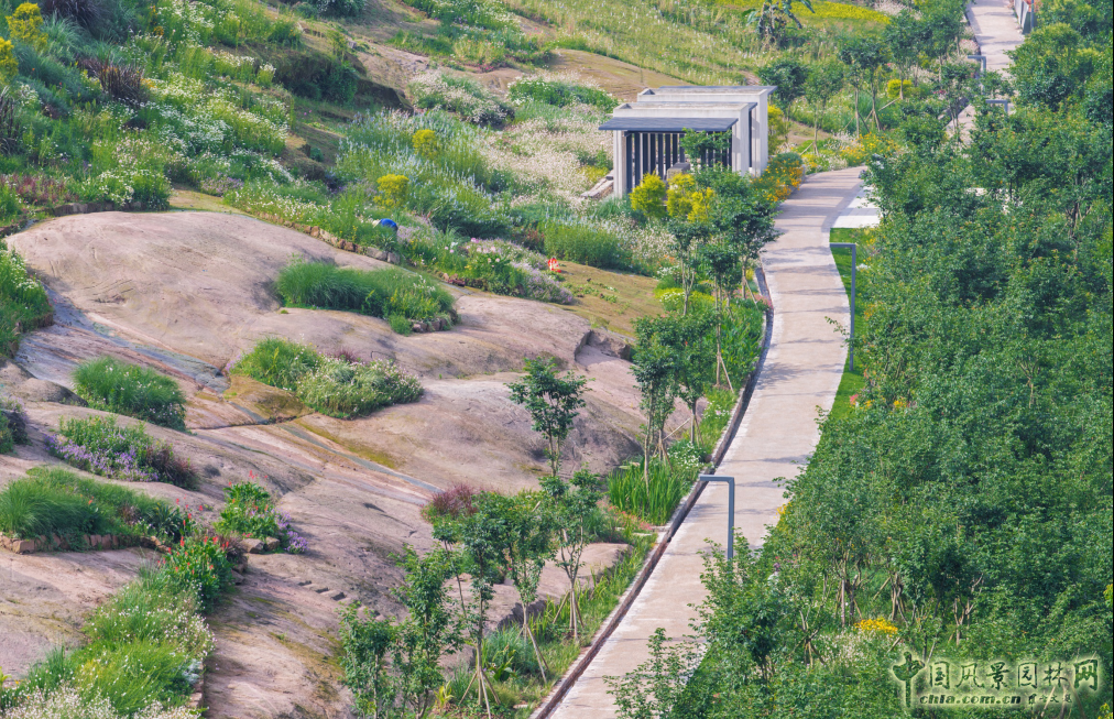 2016園冶杯專業獎參賽項目:金海灣公園