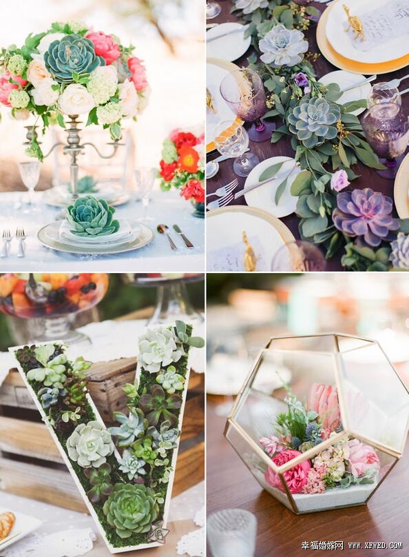 32種超乎你想像的時尚多肉植物婚禮設計