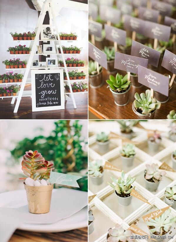 32種超乎你想像的時尚多肉植物婚禮設計
